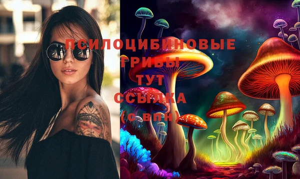 прущие грибы Аркадак