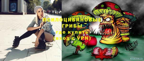 прущие грибы Аркадак