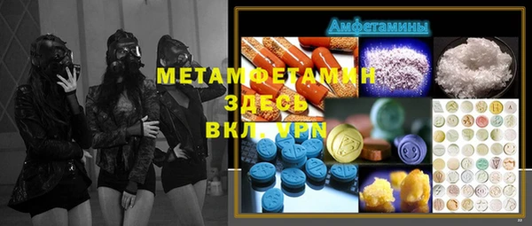 прущие грибы Аркадак