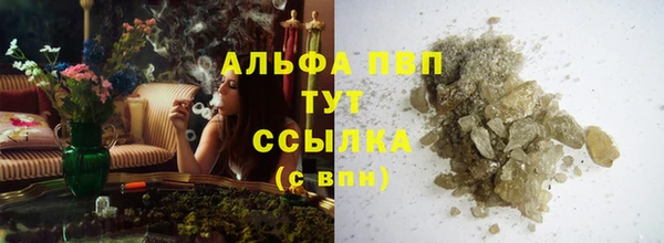 прущие грибы Аркадак