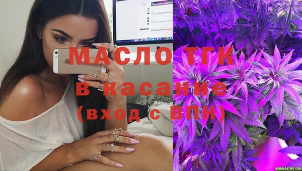 прущие грибы Аркадак