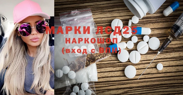 прущие грибы Аркадак