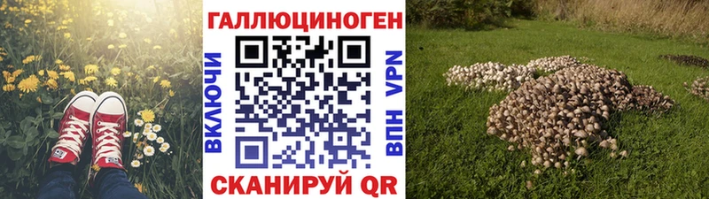 Галлюциногенные грибы мицелий где купить Урень